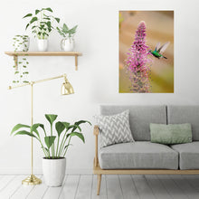 Carregar imagem no visualizador da galeria, Lobelia & Chionomesa