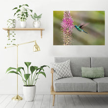 Carregar imagem no visualizador da galeria, Lobelia & Colibri