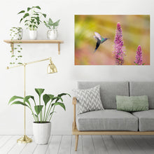 Carregar imagem no visualizador da galeria, Lobelia & Eupetomena