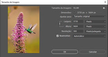 Carregar imagem no visualizador da galeria, Lobelia & Chionomesa