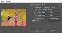 Carregar imagem no visualizador da galeria, Lobelia & Eupetomena