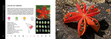 Carregar imagem no visualizador da galeria, Livro Frutos do Cerrado + Calendários Fenológicos