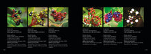 Carregar imagem no visualizador da galeria, Livro Frutos do Cerrado + Calendários Fenológicos