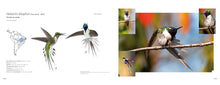 Carregar imagem no visualizador da galeria, Flores e Beija-flores do Cerrado - Coleção completa