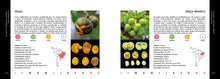 Carregar imagem no visualizador da galeria, Livro Frutos do Cerrado + Calendários Fenológicos
