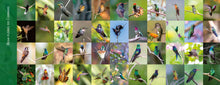 Carregar imagem no visualizador da galeria, Flores e Beija-flores do Cerrado - Coleção completa