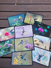 Carregar imagem no visualizador da galeria, Kit “Flores e Beija-flores do Cerrado” – Edição Especial