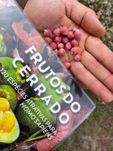 Carregar imagem no visualizador da galeria, Livro Frutos do Cerrado + Calendários Fenológicos