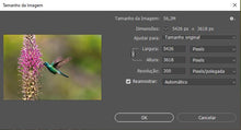 Carregar imagem no visualizador da galeria, Lobelia &amp; Colibri