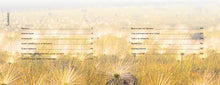 Carregar imagem no visualizador da galeria, Flores e Beija-flores do Cerrado - Coleção completa
