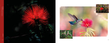 Carregar imagem no visualizador da galeria, Flores e Beija-flores do Cerrado - Coleção completa